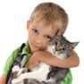 vetmobile rochester surgery details best friends