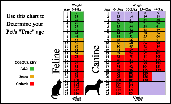 Vetmobile Housecall Service Dog and Cat Age Chart